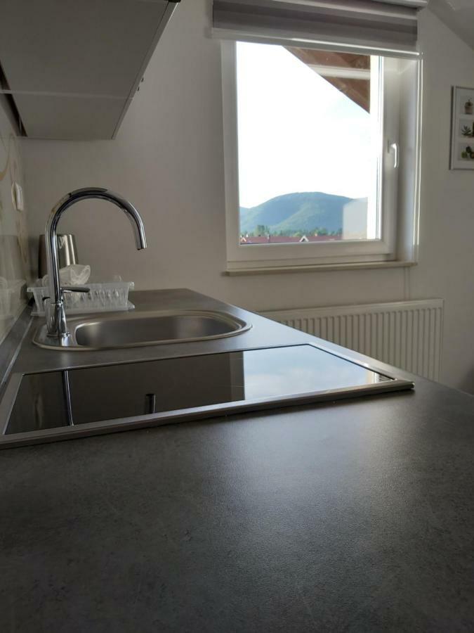 Apartmani Brigita Korenica Exterior foto